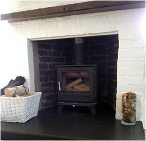 woodburning stove with logs